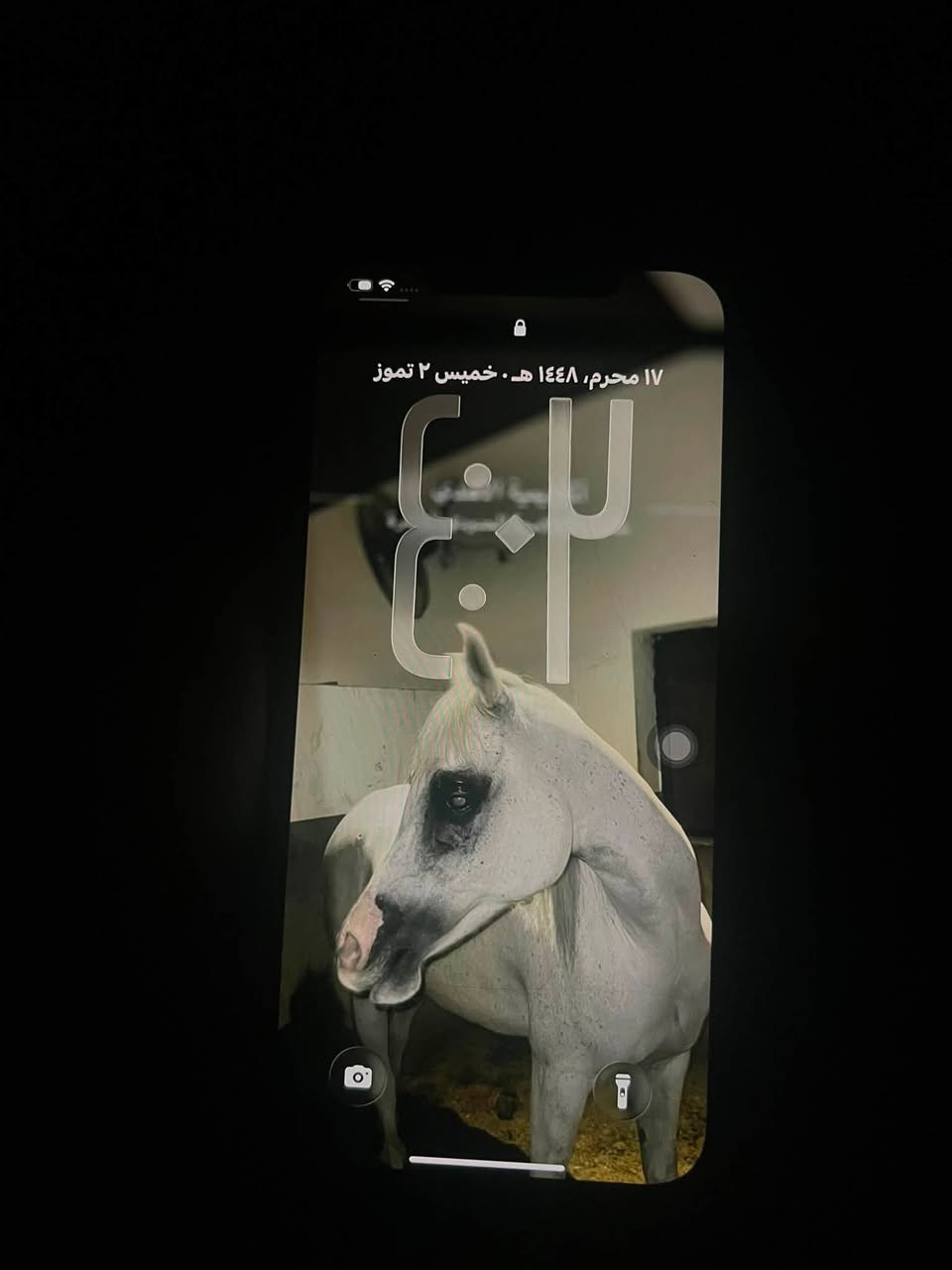 يالله اخوان 12PRO MAX  كفالة عامة جديد لون اسود ممفتوح وتر بروڤ ضمانة مدى الحياة
ذاكرة 256
بطارية بسبب التحديث 77
الجهاز جديد مكفول من كلشي .عدا فطر بالگلاس فقط مو بالشاشة ‼️اكرر بالگلاسة الخارجية مو الشاشة
الجهاز جديد مشتري قبل سنة فتح كارتونة
مع جميع الملحقات الاصلية كارتونة ايمي مطابق
نموذج M عربي. مكاني بغداد المشتل  

للتواصل فقط واتساب *********** 
السعر 450🤍 نضافة 100%

