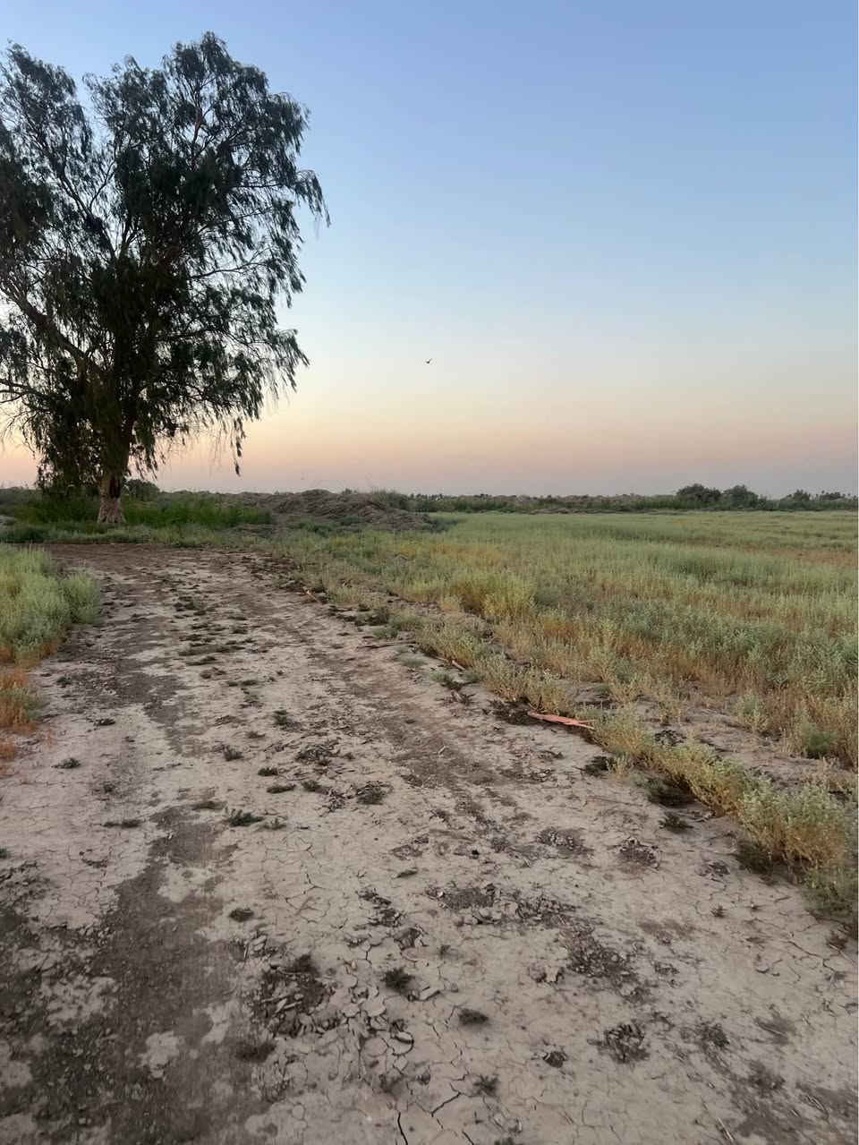 ارض طابو زراعي سند 25 للبيع 
تحويل طابو المحمودية 
الموقع : بغداد - المحمودية - الطريق الدولي السريع - الجسر الخامس - منطقة بزايز اليوسفية 

للبحث عنها في الويز اكتب ( الجسر الخامس الدولي ) 

سعر الدونم 16 مليون فما فوق 

موجود من 1 دونم الى 30 دونم 

للاستفسار خاص او واتساب فقط 
*********** المدائن, بابل
