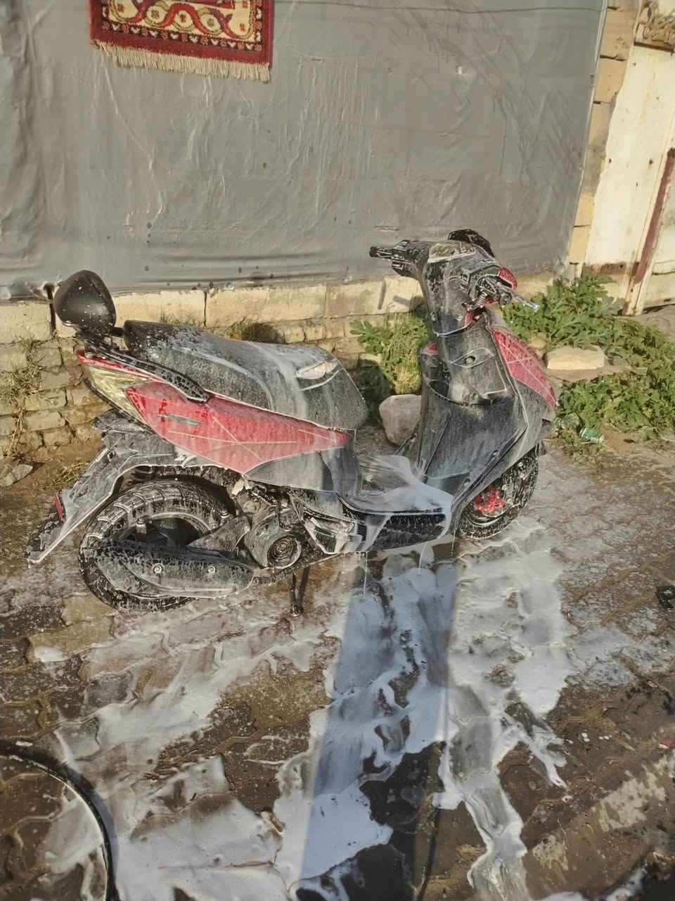 سلام عليكم

دراجة Fs16 بانزين للبيع

الدراجة مثل ما موضح بالصور 

كفرات كاملة ونضيفه 

لايتات ناصي وعالي

لايتات أمامي عالي ناصي

بگ لايت شغال

اشاير يمين ويسار  شغال

عداد سرعة شغال

گيچ بانزين شغالات

للتواصل. ***********
