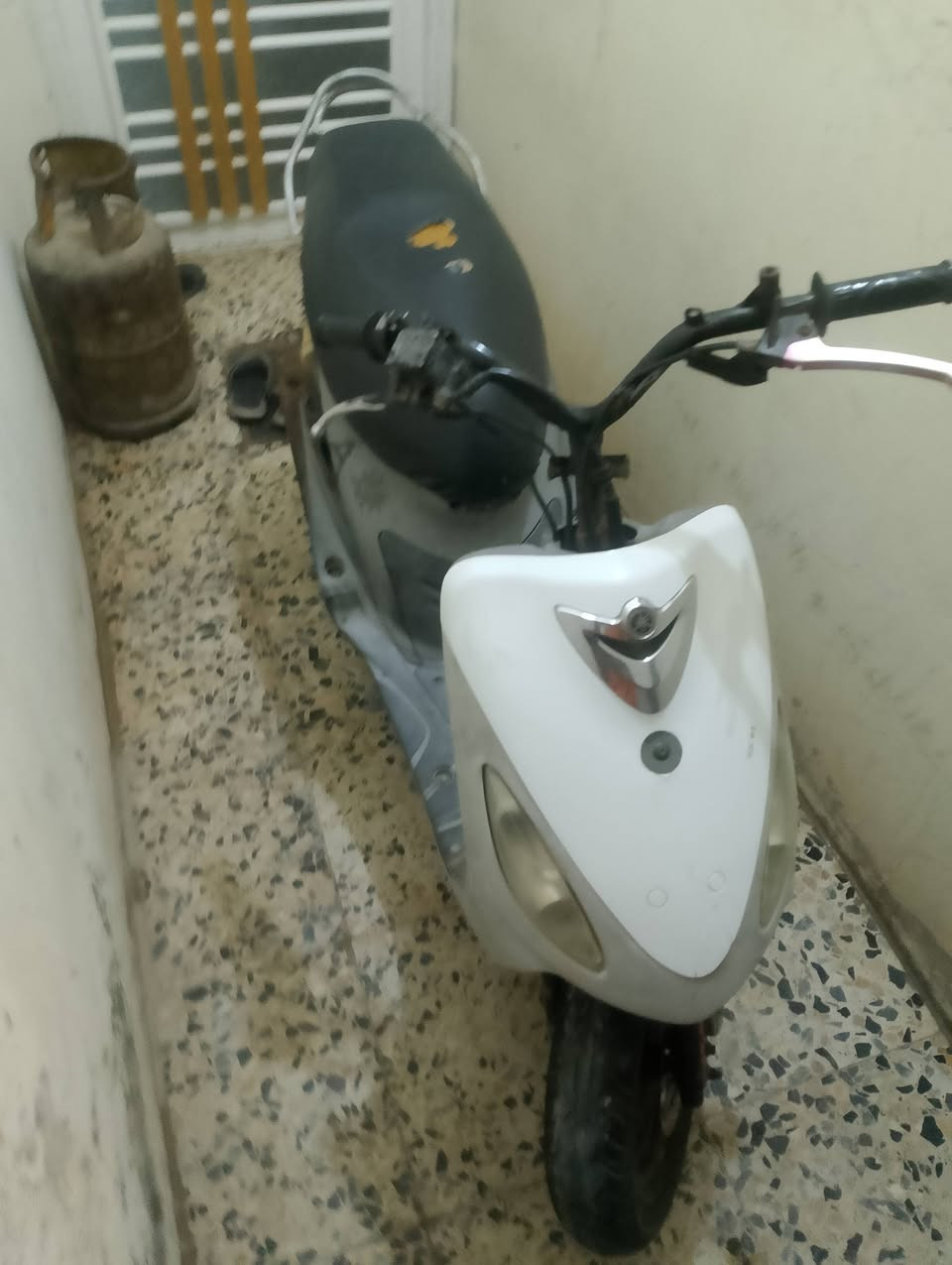 السلام عليكم دراجه منغولي للبيع بوشه 55 دراجه كفرات ختم واحد كلها  دراجه اغراضهاه كامله برغما عايزه شلعه معدل خير من الله ماكينتها خارسه ناعمه نظافه شوفه عينك تجي وتشوف السعر 450 وبيها مجال قليل مكان نجف بالحولي بشارع 30 هذا رقم موبايلي ‭0786 191 9443‬
