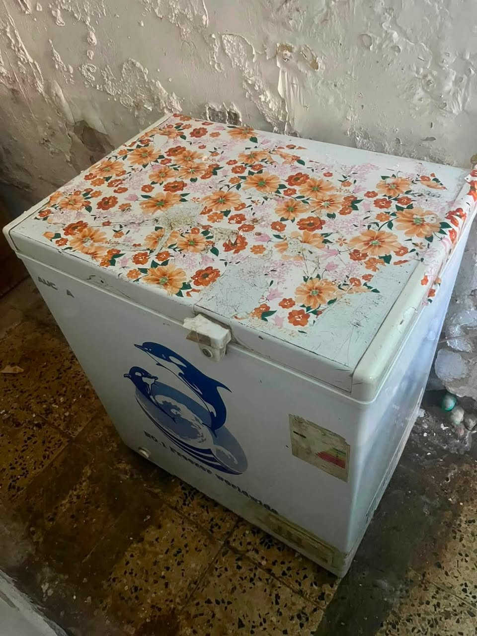 اثاث وغراض بيت للبيع لغرض الشيلة كلهن نضيفات
كاونتر وسنك ، مجمدة ، تخم ، غساله ، فرن ، ميز طعام 
1-الكاونتر  والسنك مرمر نضيف بالكامل مشدود مره وحده بس السنك مالته نقص واحد من الرجلين ويا خلاط اصلي ثقيل خطين سعرة 400
2-المجمدة حجم صغير ما داخلة تصليح ابد تجميدها يخبل سعرها 75
3-الغسالة حجم كبير شغاله تغسل كلشي بس المجفف نقص برغي يسبب هزة بالوزن الثگيل سعرها 75
التخم قطعتين 3 مقاعد كبار وقطعة5-  مقعدين وكراسي ثنين سعرة 400
5  الفرن بعدة جديد شغال بالكامل سعرة 75 
6 ميز الطعام الي يتكبر ويتصغر ويا 4 كراسي سعرة 75
واتساب ***********
