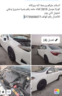 كورلا • ٢٠١٩ • بصرة