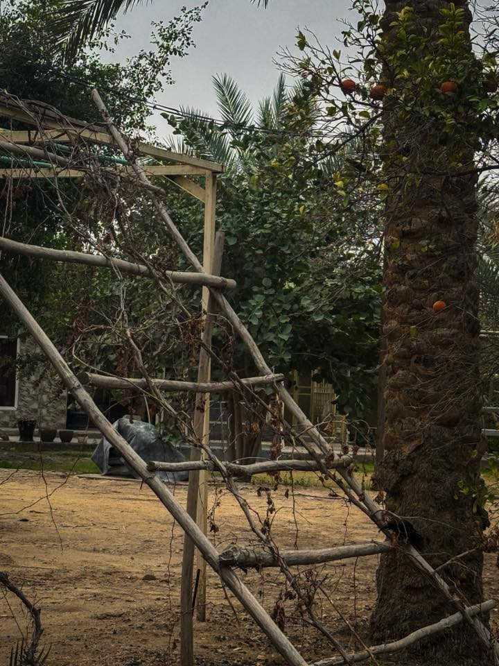 السلام عليكم للبيع بسعر مميز جدا
مزرعة منتجع خمس دونم تحتوي على 800 شجرة بمختلف أنواع الأشجار و 250 نخلة من دون الفسائل الجديدة 
تحتوي على دار استراحة 115 متر ( غرفة نوم ، مطبخ ، صالة ، مضيف ، مجموعة صحية داخلية و خارجية ) بالإضافة إلى بحيرة اسماك و جلسات و مكان للشواء و كذلك محميات لتربية الحيوانات 
سندها سند 25 باسم شخص واحد تحويل ثاني يوم بالطابو
المكان شارع الرابط ( بعد ٤٠٠ متر عن شارع الرابط ) - شارع معمل الغاز 
من الأخير كاملة مكملة و تسوه كل فلس بيها و بالعافية عالياخذها 
الشراي يتصل او يراسل واتساب ممتواجد على الفيس 

***********
