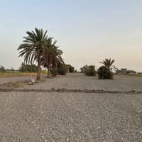 🌴 للبيع أرض مميزة 🌴 إخوان، للبيع 5 دوانم ونص بسمي، سند 25 طابو الفلوجة...
