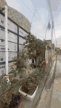 بيت مساحه 150متر زراعي سند25 بناء جديد نظيف فيه غرفتين واستقبال ومطبخ حار وبارد وحمام خارجي وداخلي مع سبالت عدد2 عنوان شارع حجي بحر قرب صدام الركابي للاستفسار ***********
