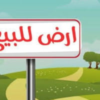 #ارض للبيع طابو زراعي سند ٢٥ قرار محكمة #المساحة 100متر  #الواجهية 5 م...