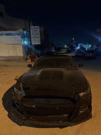 دعامية • بند شيلبي • مراوس