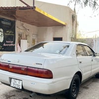 بطة • رخصة ٢٠٢٧ • كرمة علي