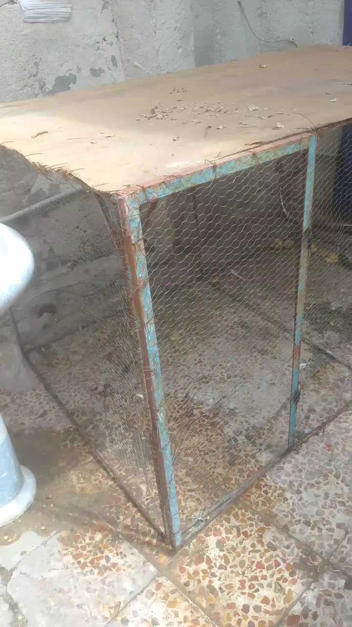 قفص للبيع طول 2.20ارتفاع 1.5 عرض 1.4
مرتب وطلاكه تنفتح وتنسد ***********
