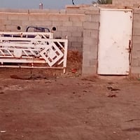 محجر كيه بنكوو نثيه للبيع 07857073800