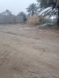 منطقة الشوفه • ٣٧٥م • زراعي