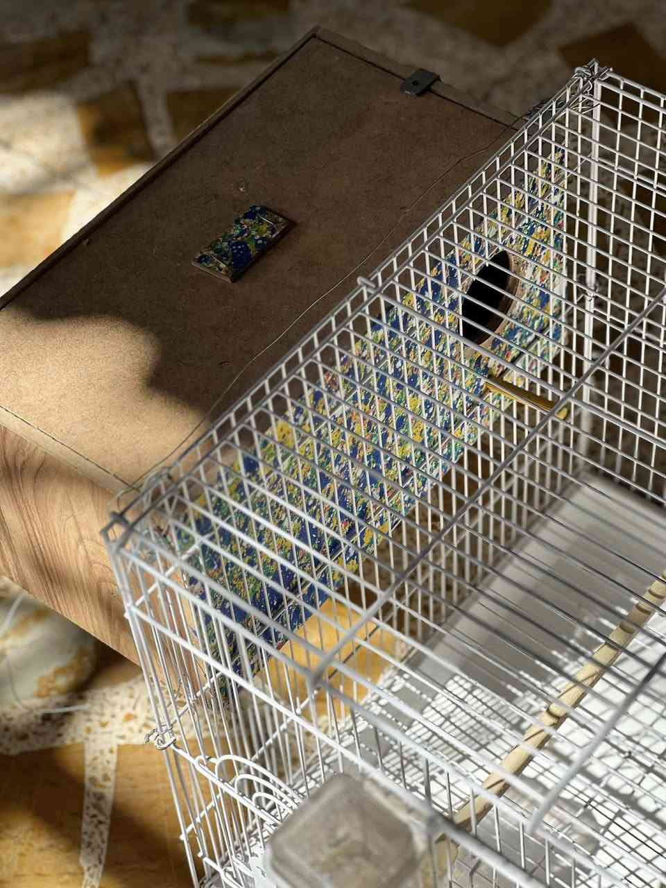 قفص جديد ما مستخدم غير سبوع واحد قفله من الاخير 15 حي سماح ***********_***********
