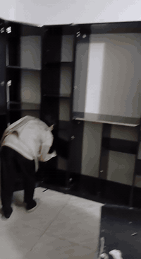 فتح وشد غرف النوم • فتح وشد السبلت • تحويلة بيت كاملة