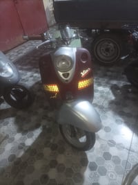 دراجة مصرية • نسائية