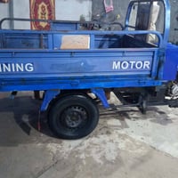 ستوته • موديل ١٩ • اوراق اصوليه