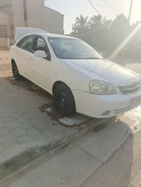 ٢٠١٠ • صبغ قطعتين • رقم كربلا