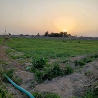 بغداد المحمودية • دونم طابو • ٢٥×١٠٠