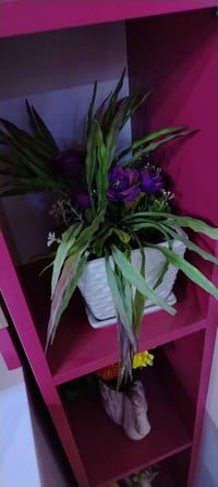 سندانه • سندانة • اصيص • زرع • ديكور منزل • تحف • تحف منزلية • بغداد