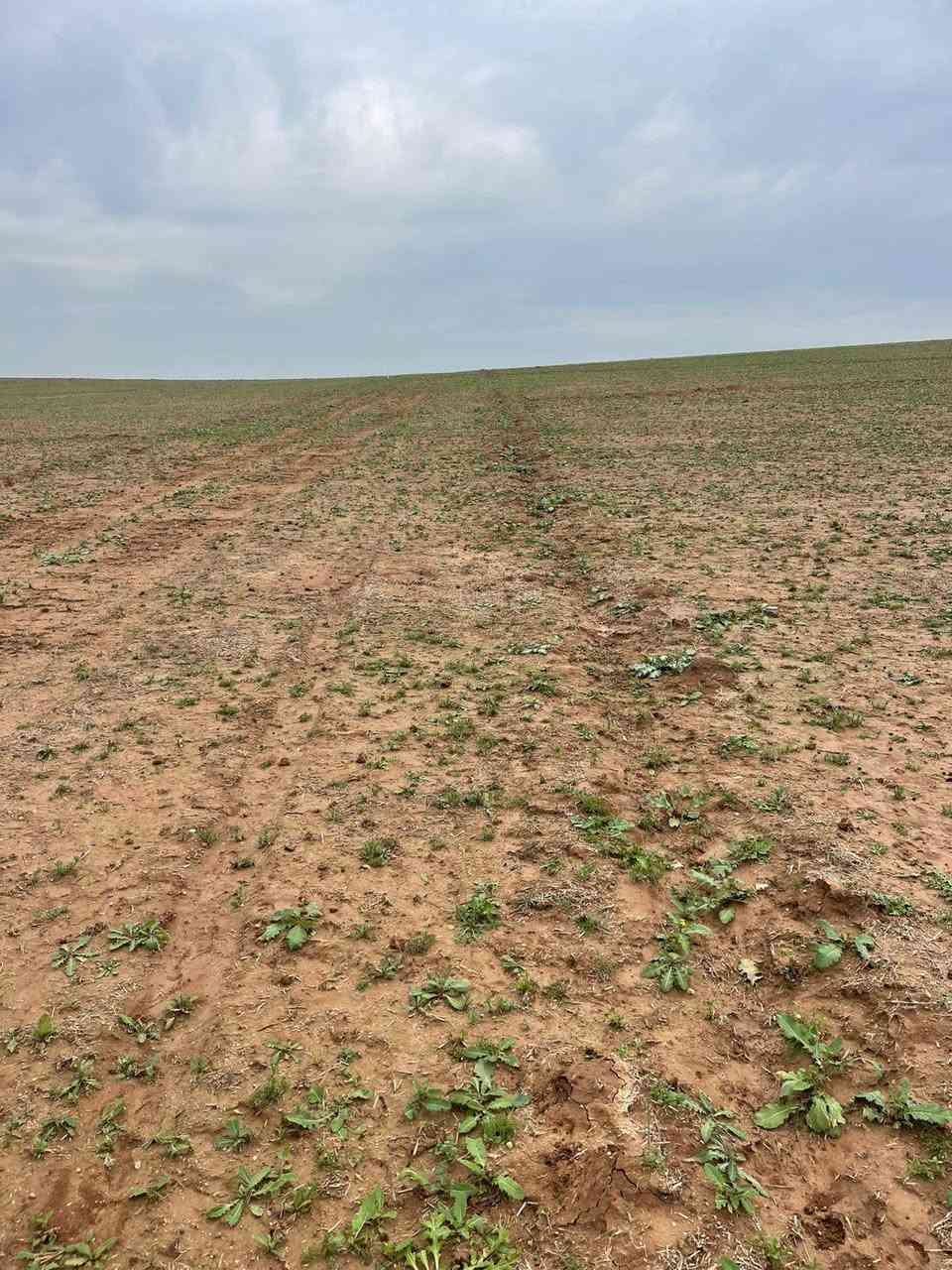 أرض للبيع مساحه ربع دونم 600 متر
وجها 15 نزال 40 شارع عرض 8 م 

موقع  نضام مزارع ماي يبعد عنها 40 متر

كهرب 200 متر سند زراعي نموذج25 

مكاتبه مع شرعي مباشر موقع الارض 

منطقه تبادل قبل فلفيل

 سعر الأرض 11 مليون 
للاستفسار اكثر 
***********
متوفر وتساب
