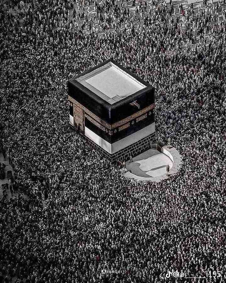 الفلوجه مقابل جامع التقوى
*عمرة رمضان مع نور الفرات للحج والعمرة*

شركة نور الفرات للحج والعمرة تعلن عن رحلات عمرة مميزة لشهر رمضان المبارك بأفضل الأسعار!

*خدماتنا:*

- إقامة في فنادق مكة والمدينة

- تنقلات باصات حديثة ومكيفة

- هدايا قيمة لكل حاج

- رعاية واهتمام على مدار الساعة

*للحجز أو الاستفسار:*

زوروا مقر شركة نور الفرات للحج والعمرة في الفلوجة أو اتصلوا بهم مباشرةً 📞سارعو بتسليم الجوازات المقاعد محدوده 

*نتمنى لكم عمرة مقبولة! 🙏✨*

*********** حجي وليد ابو محمد 

‏‪***********‬‏ حجي وليد ابو محمد 

*********** حجي احمد ابو قتيبه 

‏‪***********‬‏ حجي احمد ابو قتيبه
