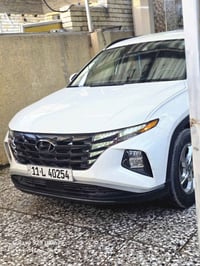 توسان • ٢٠٢٤ • بدون صبغ