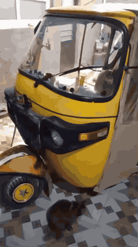 سلام عليكم بسبب الوعود الكاذبه تكتك زيل للبيع مكاني واسط صويره 18 آوراق محركها مجفت شركه بلادي تفاصيل داخل الفيديو سعرها مليون و950 وبيه مجال بسيط الاستفسار خاص او اتصال ***********
