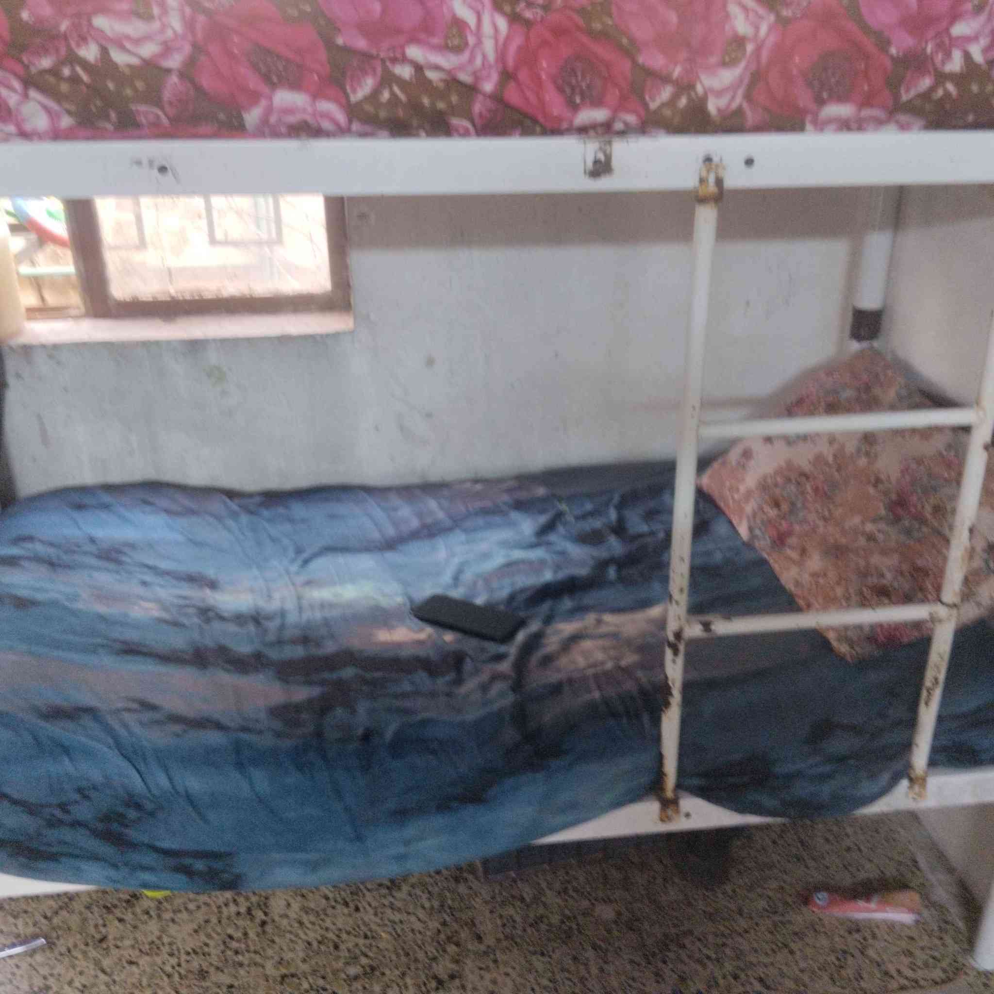 ‎جرابي للبيع المكان الرئاسة مال العبيدي يم جامع الامام علي سعر 80وبيهن مجال كلش قويات‎ بغداد, العراق


**إذا كنت صاحب هذا الإعلان وتريد حذفه لأي سبب، رجاءا أرسل رسالة إلى الدعم الفني**