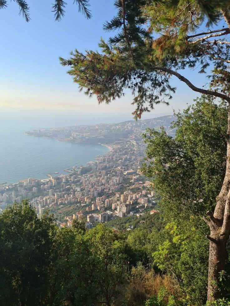 بفضل الله وحمده تعلن شركة النور المبين عن
✈️ رحلة عيد الأضحى المبارك إلى بيروت 🇱🇧✨
المدة: 3 ليالي / 4 أيام 🌙 ب سعر ١٤٠ الف فقط 
السكن: فنادق درجة أولى ممتازة (VIP) 🏨⭐
الخدمات: طيران (ذهاب واياب ) + وجبة فطور صباحي فاخرة يومياً 🍳
التاريخ: الانطلاق يوم 2026/5/26
👇 المقاعد محدودة جداً لعطلة العيد!
للحجز أو الاستفسار  التواصل في الخاص
***********
***********
