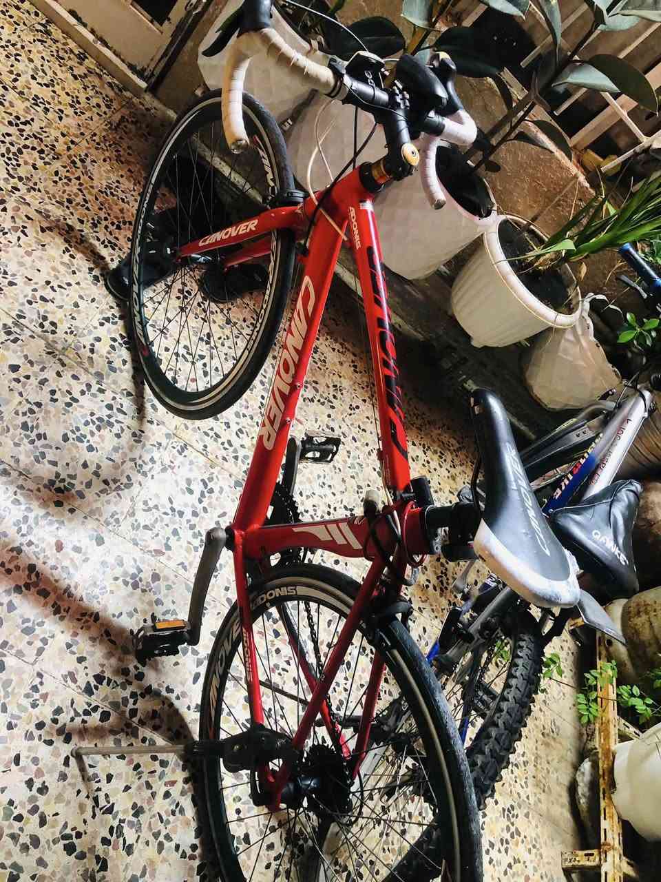 للبيع ROOD BIKE CANOVER🚴 سنة الصنع— 2020/2021
اللون :- احمر مميز🔴

الحجم:-27

النظافة :- 90/100

فولل مواصفاات🚴🔥🔥🔥

المواصفات:- كير من ماركة شيمانو اصل امامي.2نمرة -خلفي.7نمرة—نوع الكير ويه البريك 
نوع البريكات اصل شيمانو + طخم تاير جديد اصلي+ طخم جوب اصلي جديد …بي بعد هواي تفاصيل ماذاكرها 

العنوان:الموصل📍

للتواصل خاص …..او عن طريق رقم الهاتف

***********
