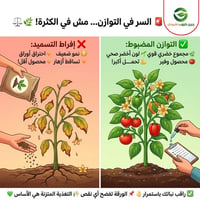 توازن غذائي • تحليل تربة • اصفرار بين العروق