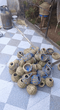 فناجس وكناري • شغل يدوي حسب الطلب • كوت زين القوس