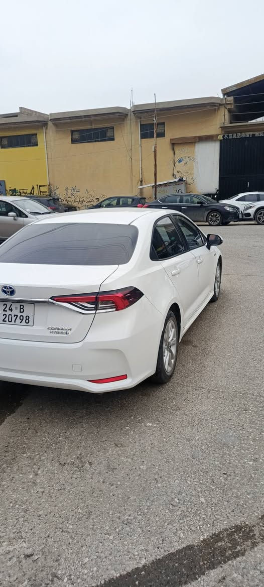 توێتە بیکاشو هایبرید شکل خلیجی 2024 تەنها دوو پەنجە ساردی هەیە 43 هەزار رۆیشتیە ناوسۆر هەموو شتی بەشەرت نرخ 152 شوێن هەولێر ***********
*********** أربيل, العراق
