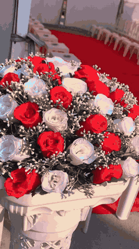 السلام عليكم 
معرض الزيدي 
يتوفر خيم اعراس باسعار مناسبه
للتواصل ‭0771 569 6727‬
