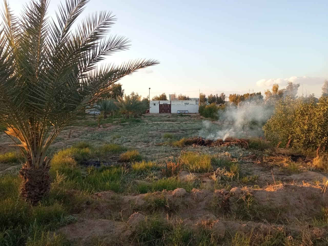دونم للبيع شارع كربلاء نجف عمود 339خلف المواكب الحسينية بي بيت+ماطور غطاء 10حصان+ماء اساله خطين كهرباء خطين وطني+117نخله حمال مقابل المدارس السعر 90بي مجال قليل ***********
