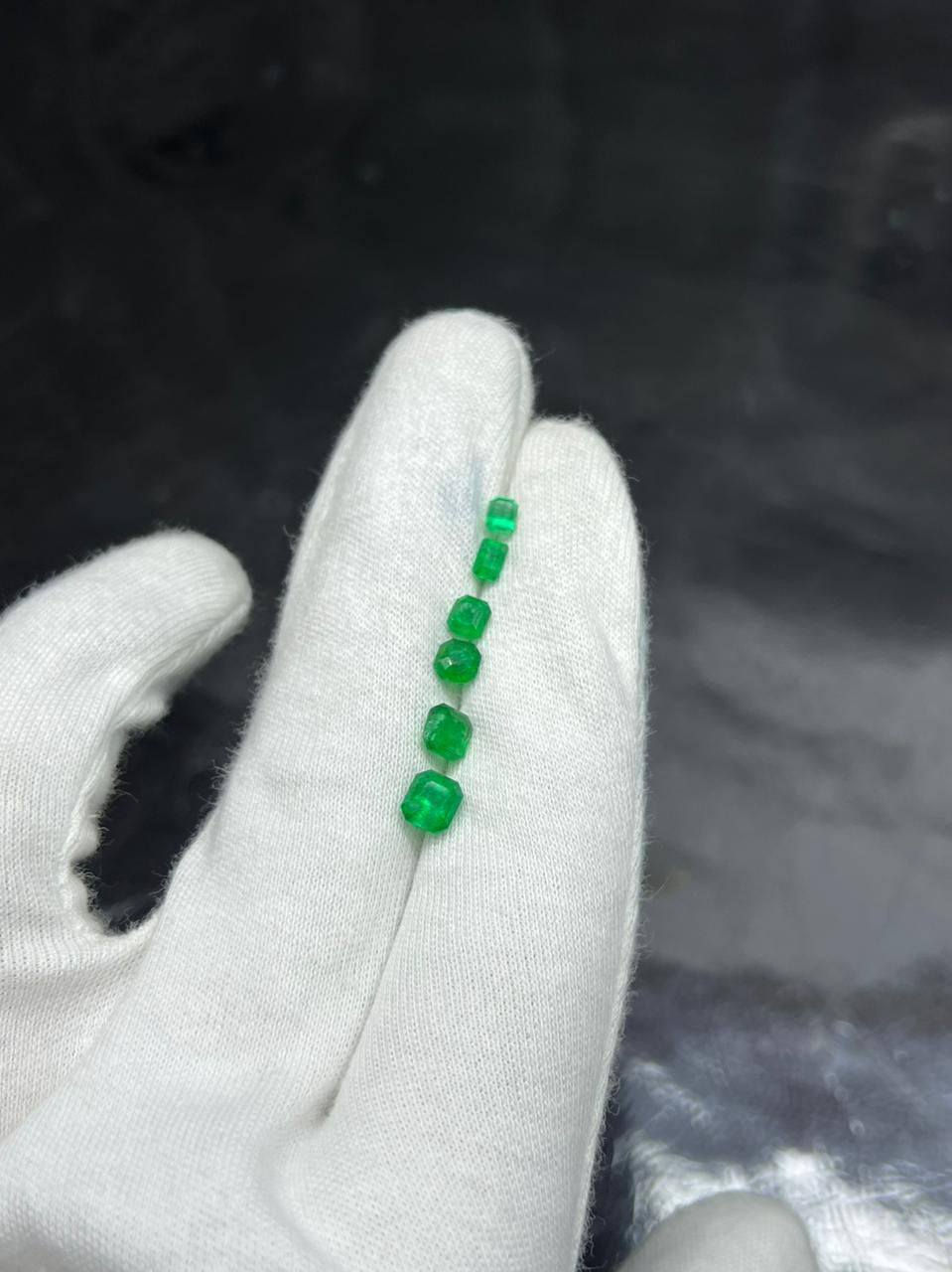 💖___MASTER PIECES LOT 
💖___VERY PRETTY 
💖___ NATURAL  
💖___EMARLD 
💖___CUT STONE LOT   
💖___AVAILABLE FOR SALE
💖___IN BEST PRICE
💖___WEIGHT : 2.60 CT 
💖___ORIGIN : SWAT,PAKISTAN 
💖___PICES : 6  
💖___PRICE : Inbox 📥 
💖___DM FOR MORE DETAILS


**إذا كنت صاحب هذا الإعلان وتريد حذفه لأي سبب، رجاءا أرسل رسالة إلى الدعم الفني**