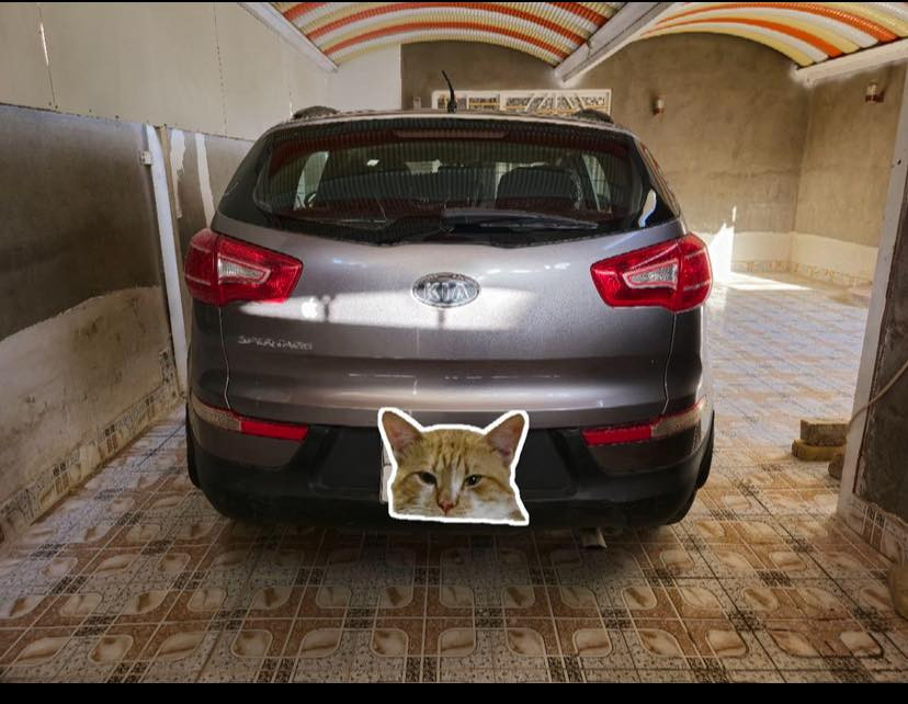 سبورتج 2011 سعودي مكفوله من الصبغ والتبديل
رقم اربيل محرك دوش 2000 اربع حساسات آير باگ ثلاجة بالچكمچة
تحكم ستيرن  الدعامية نصفها تغليف فابلون للجمالية الاتصال على الرقم  ***********
