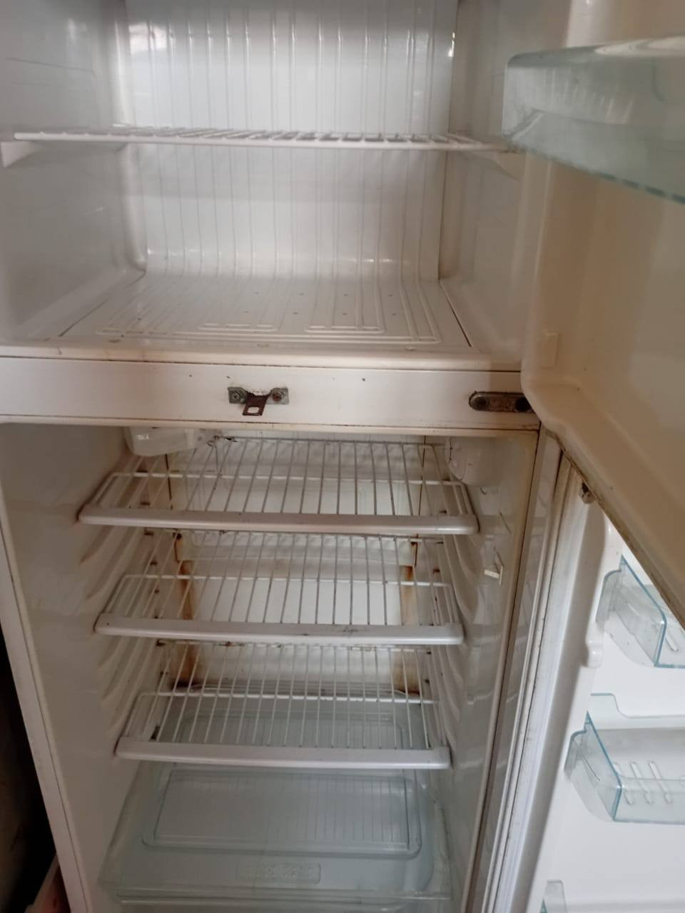 السلام عليكم ثلاجة الريان كشره نظيف بدون ماطور مكاني بغداد الدورة السعر75الف


**إذا كنت صاحب هذا الإعلان وتريد حذفه لأي سبب، رجاءا أرسل رسالة إلى الدعم الفني**