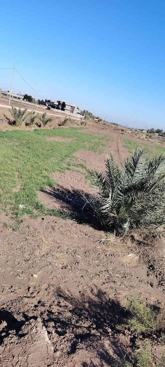 سلام عليكم قطعه ارض للبيع مساحته ما يقارب 1700متر يوجد فيها ماء وكهرباء وتبليط المكان خلف جامعه بابل بل هميسانه الثانيه نوع الارض (اصلاح زراعي) اكاتبك مكاتبه خارجه اتكفل اب اي شي ***********
