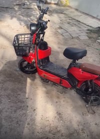 كلية طب البيطري قريب على تقاطع العامرية