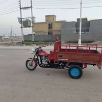 ستوته • ٢٠١٩ • وراق صولي