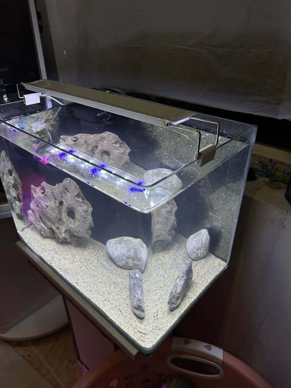 بە كاملی نرخی بۆتە  ٥٥ هەزار .. داشكانی بۆ كراوە
حەوزی شەریكەی پێش قەوس دیزاین كراوە
لیدێكی ستاندنی گیایی زۆر تایبەتی لەگەڵە
فلتەری ناو حەوزی لەگەڵەو هەمیش ئۆكسجینە
 بنی حەوزەكە بە بەردی ورد ڕازاوەتەوە
٣ بەردی گەورەی  لەگەڵە وەك دیزاین
پشتی باگراوندی ڕەشی لێدراوە
قیاسی درێژی ٥٠ سم بەرزی ٣٦ سم پانی ٣٠ سم
___________________
ئەوەی ویستی نامە بنێرێت لە واتس ئەپ یا ڤایبەر 
***********
گەیاندنمان تەنھا بۆ ناو سلێمانی ھەیە
