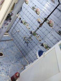 بستان الخصيمه • سند ٢٥ • دار زراعي ١٠٠م