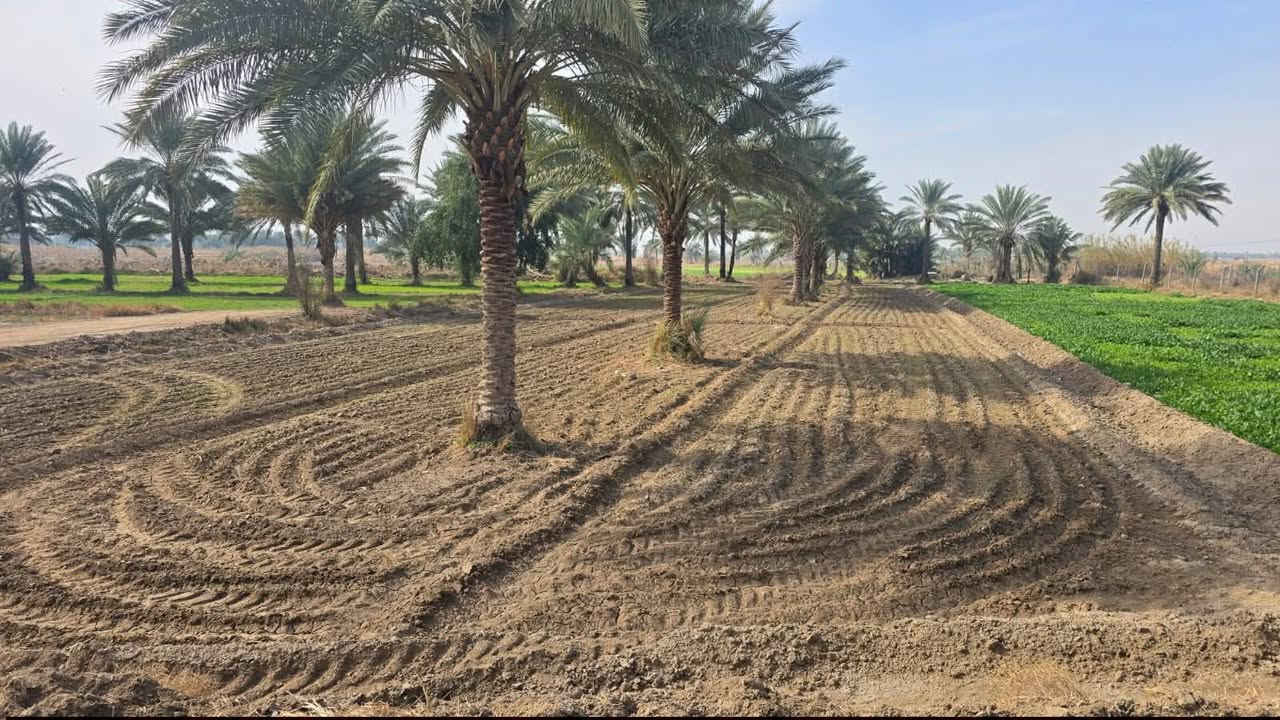 دونمين اله ربع للبيع  طابو زراعي سند 25 تحويل  مباشر
العنوان. خلف جامعه بابل. متوفر ماء  السقي وايضاً ماء 

اساله. و كهرباء. الخدمات كامله.     السعر مناسب. 

كل ماعليك تتصل. وتجينه انشوفك عروض اتخبل 

***********
