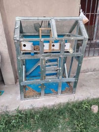 قفص للبيع 07811195678