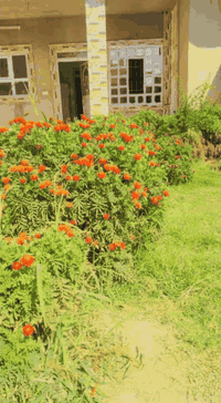 الدار للبيع الموقع قرب المستشفى القيارة  المساحة 360 شارع الصبة الجديد خدمات كامل كرت قرص بسمي السعر تواصل على الرقم ***********
