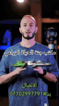 كيف تحفظ بيتك من النمل الابيض في المستقبل؟  يسبب النمل الابيض أضرار كب...