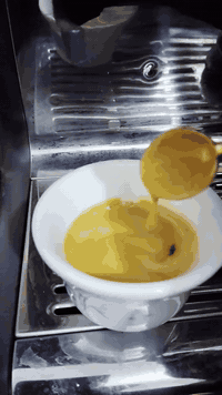 السلام عليكم اغاتي ..
عفية والله أهل الحلة ..
اليوم صباحا ولأول مرة اجرب خلطة اسبيرسو مختصة لمحمصة في مدينتي مدينة الحلة ..
بإدارة الشاب الجميل علي الشريفي .. كانت فعلا أناقة ونيافة في التحضير لاتقل جودة ونكهة عن المحمصات التجارية المعروفة ..
والمفاجئة الأخرى لديهم أيضا كل انواع المنتجات للقهوة ومن دول مختلفة ،، وايضا يدعو من يريد أن يعطيه خلطته الخاصة لتخصيرها ..
عفية والله محمصة الأصالة العربية ..
علما أن أسعاره منافسة وهي الأخرى مفاجئة ..
اترك لكم عنوان السيد علي للتواصل مع الهاتف ..
Ali Alshrefe ..
ورقم هاتفه
‪0783 171 9394‬‏
