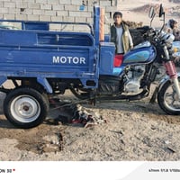 ستوته فحل • موديل 2022 • أوراق ضايعة