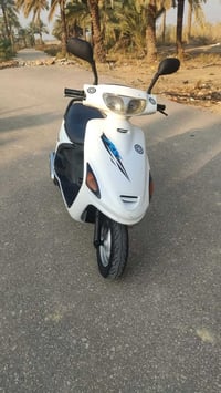 فراشه كرستال • ياباني أصلي • بلقاسم