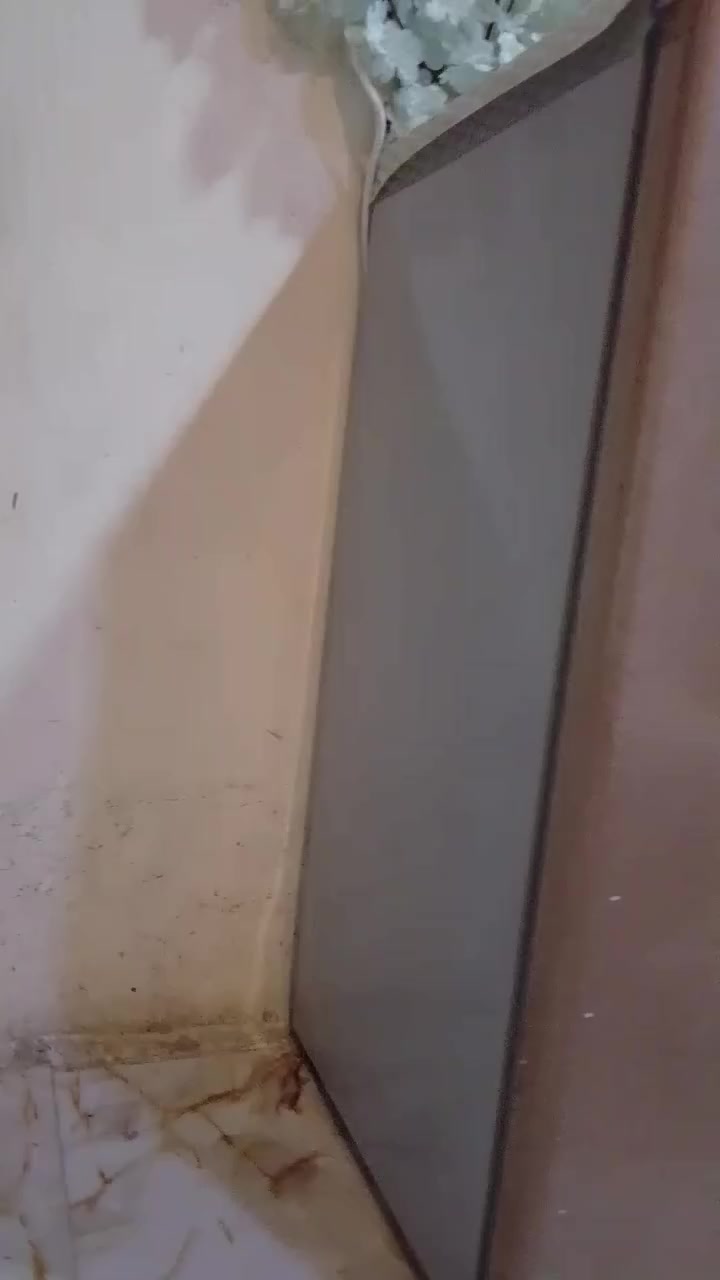 ثلاجه صغيره مكاني بغداد السلاميات توصيل ماكو 
سعرها 80


**إذا كنت صاحب هذا الإعلان وتريد حذفه لأي سبب، رجاءا أرسل رسالة إلى الدعم الفني**